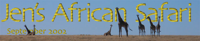 Jen's African Safari