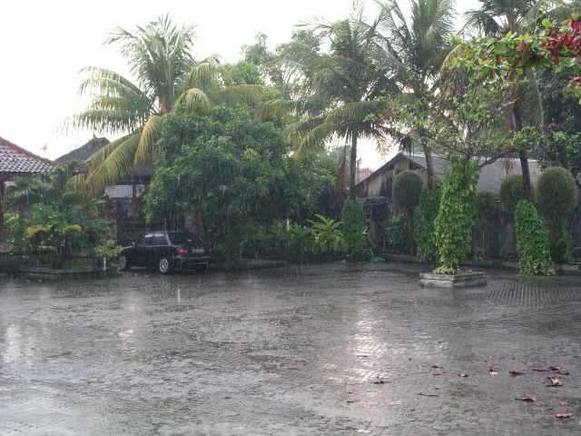 p9081215