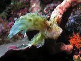 p6150272