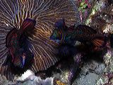 p6200267