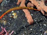 p6220496