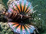 p6220585
