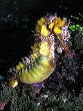p6240833