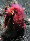 p6240920