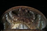 _mg_6942_dxo